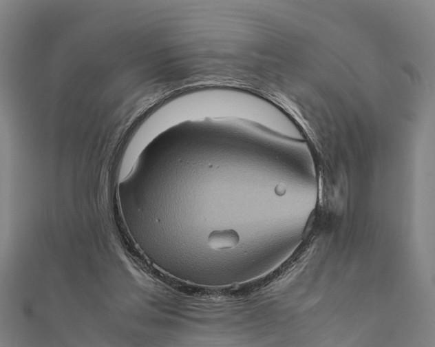 X0000112090205200908181310