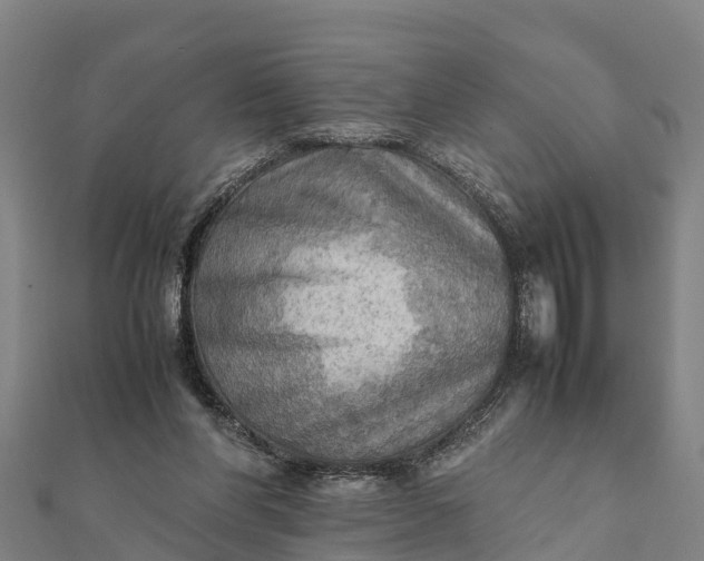 X0000112090206200908181310