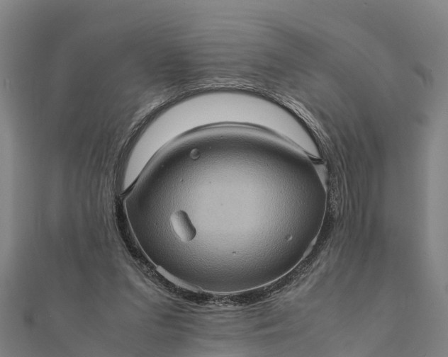 X0000112090207200908181310