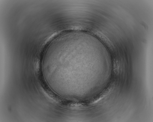 X0000112090208200908181310