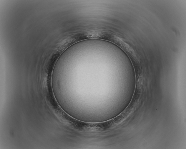 X0000112090209200908181310