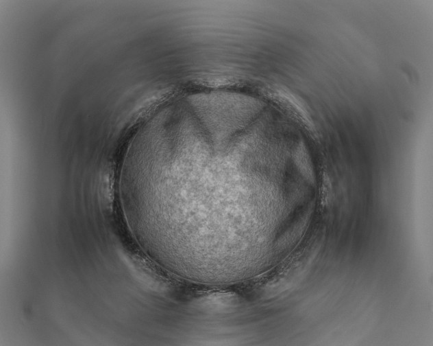 X0000112090210200908181310