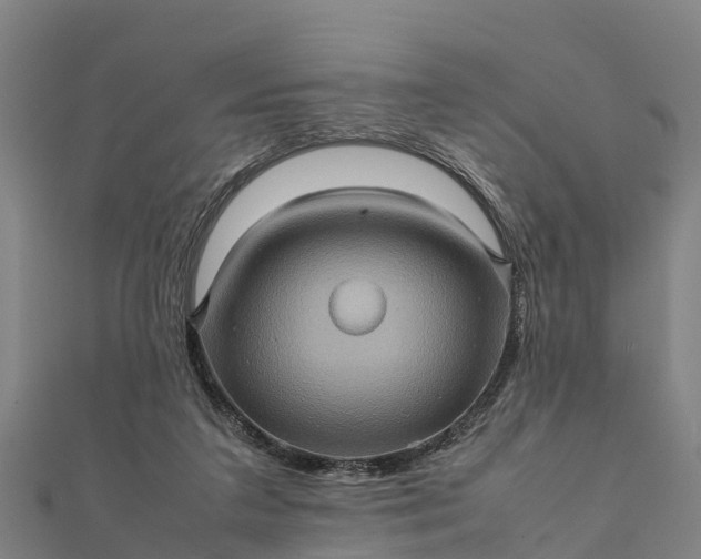 X0000112090211200908181310