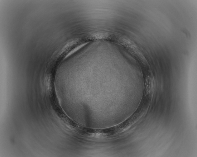 X0000112090212200908181310