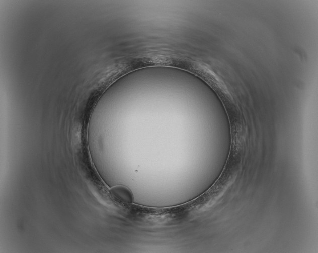 X0000112090213200908181310