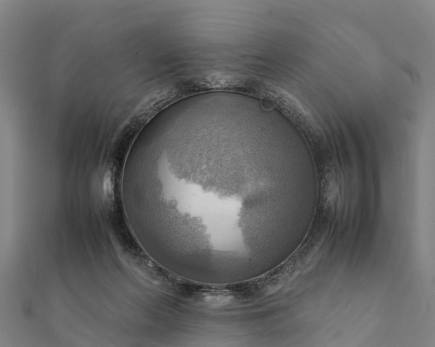 X0000112090214200908181310