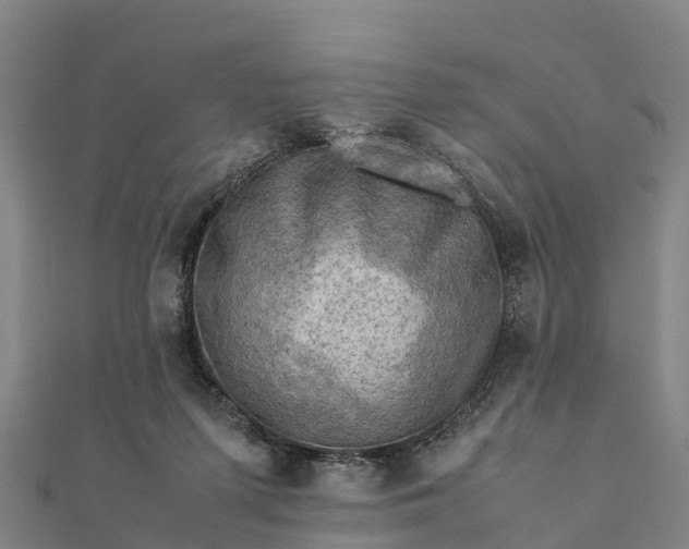 X0000112090215200908181310