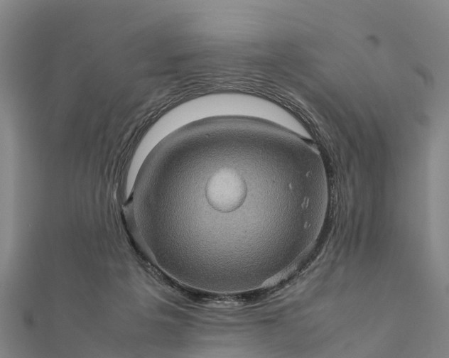 X0000112090217200908181310