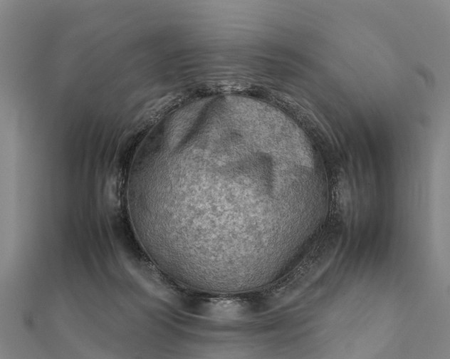 X0000112090218200908181310