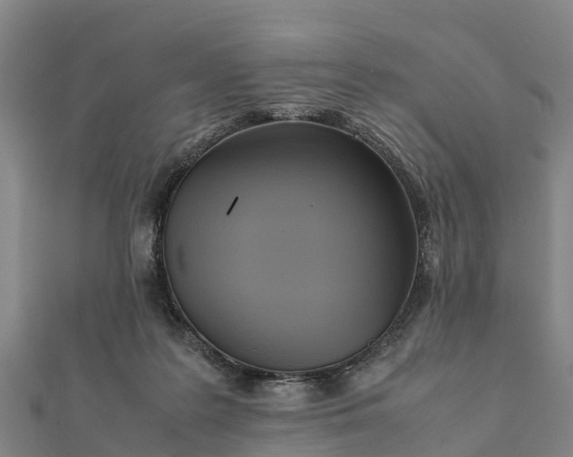 X0000112090219200908181310