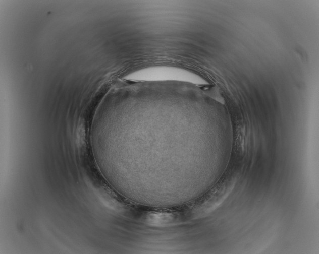 X0000112090220200908181310