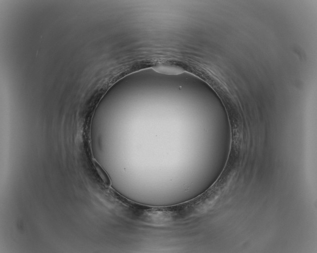 X0000112090221200908181310