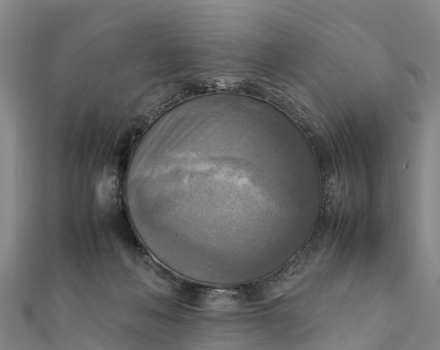 X0000112090222200908181310