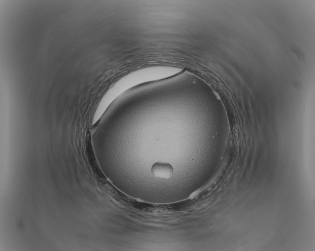 X0000112090223200908181310