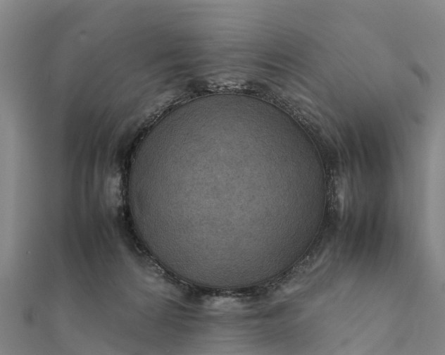 X0000112090224200908181310