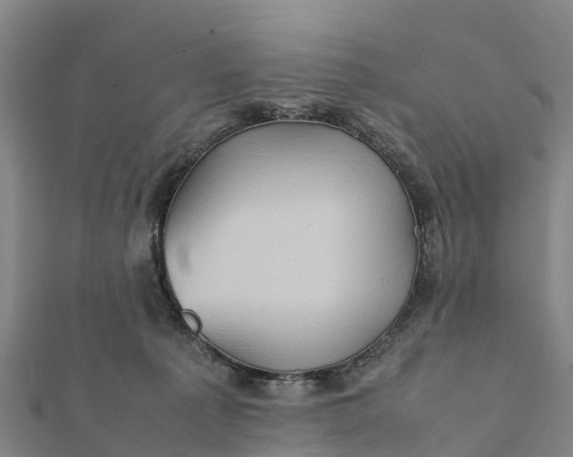 X0000112090225200908181310