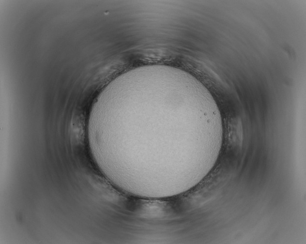 X0000112090226200908181310