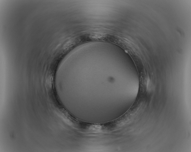 X0000112090227200908181310