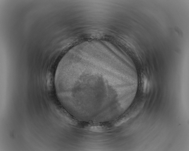 X0000112090228200908181310