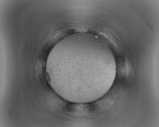 X0000112090229200908181310