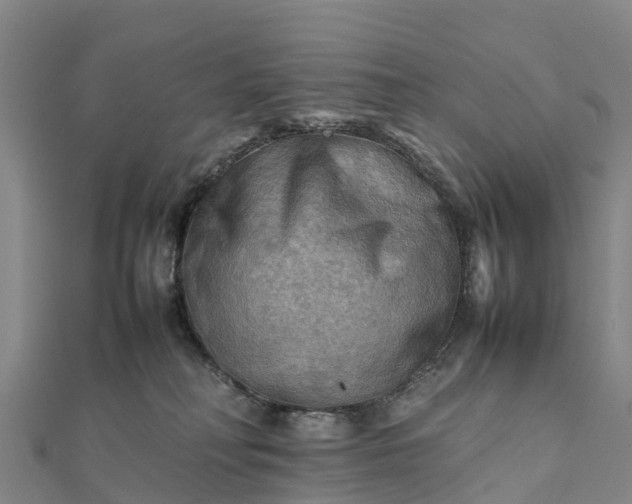 X0000112090230200908181310