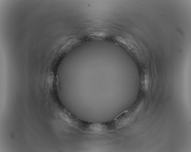 X0000112090231200908181310