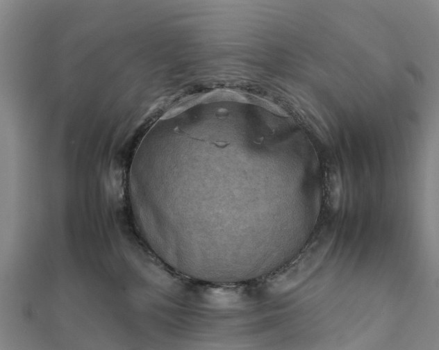 X0000112090232200908181310