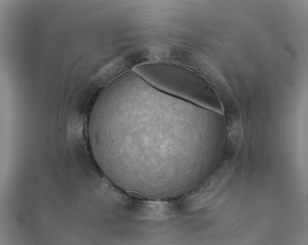 X0000112090233200908181310