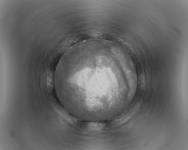 X0000112090234200908181310