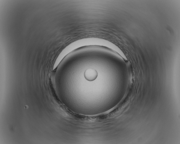 X0000112090235200908181310