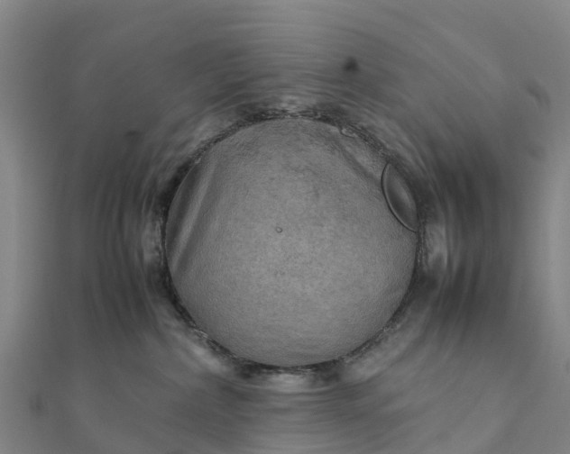 X0000112090236200908181310