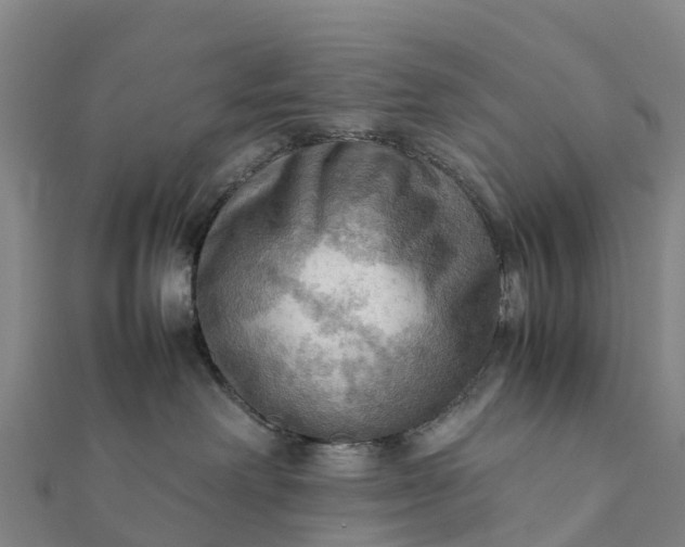 X0000112090238200908181310