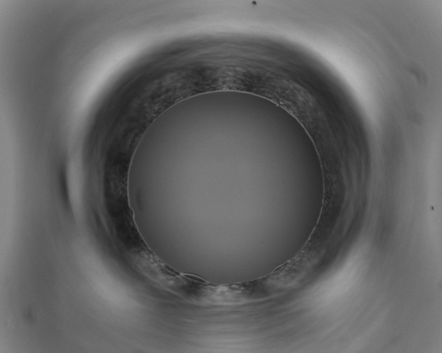 X0000112090239200908181310