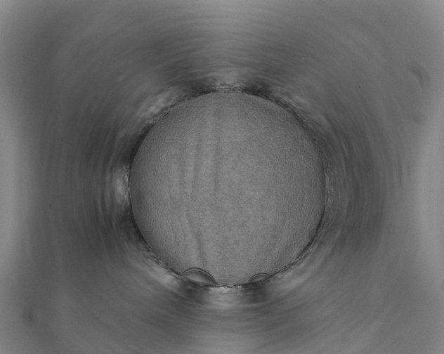 X0000112090240200908181310