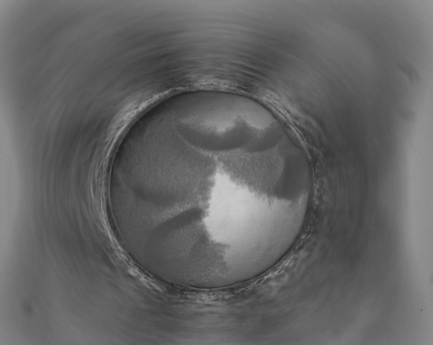 X0000112090241200908181309