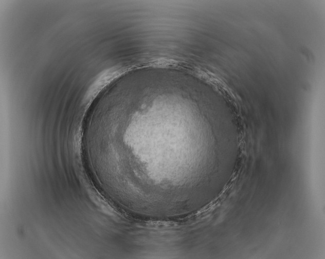 X0000112090242200908181309