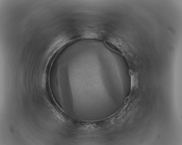 X0000112090243200908181309