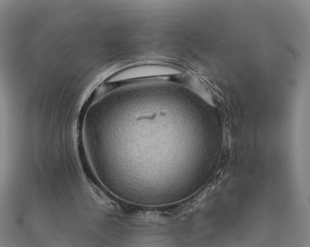 X0000112090244200908181309