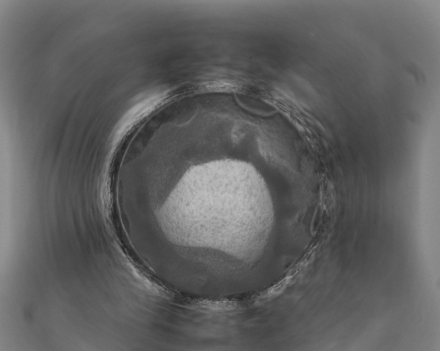 X0000112090245200908181309