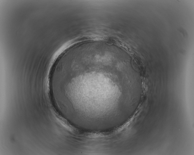 X0000112090246200908181309