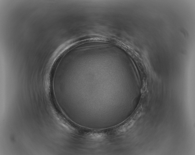 X0000112090247200908181309