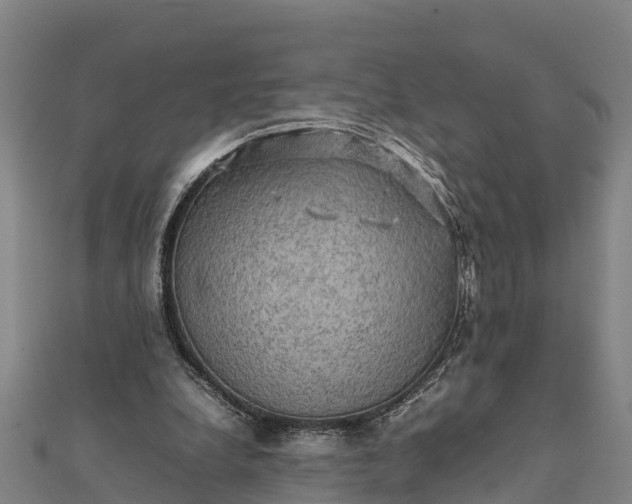 X0000112090248200908181309