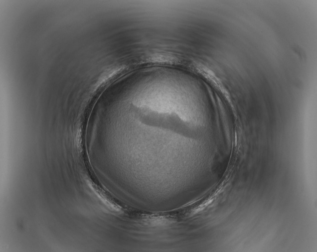 X0000112090249200908181309