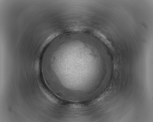 X0000112090250200908181309