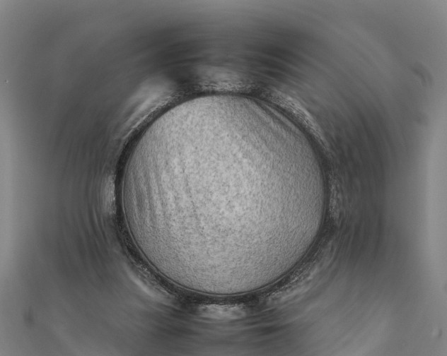 X0000112090251200908181310