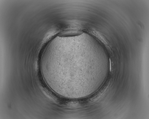 X0000112090252200908181310