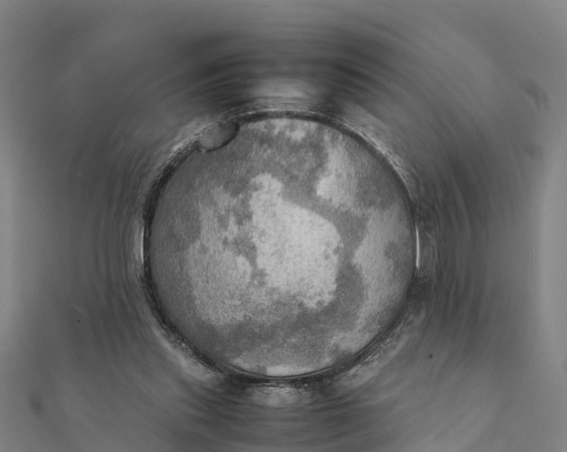 X0000112090253200908181310