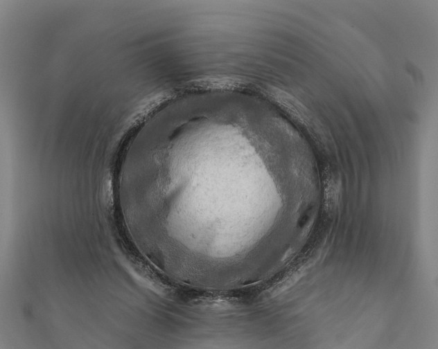 X0000112090254200908181310