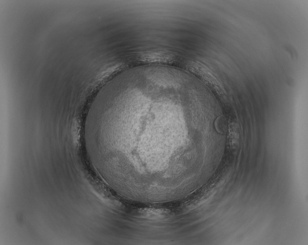 X0000112090255200908181310