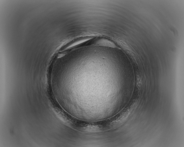 X0000112090256200908181310